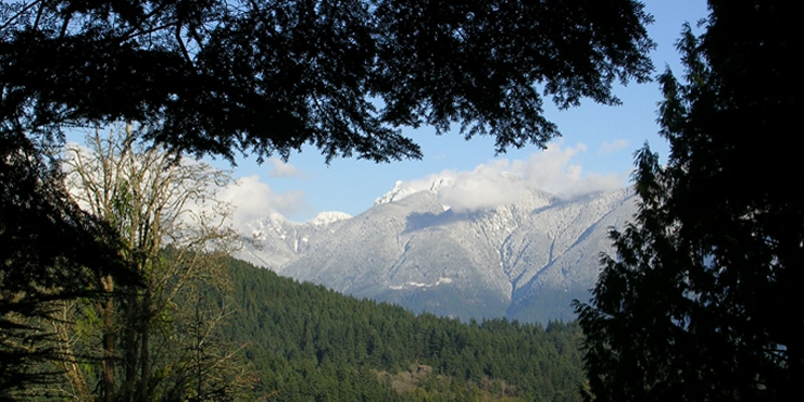 Belterra View
